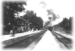 aminskog.jpg (17467 bytes)